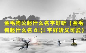 金毛狗公起什么名字好听（金毛狗起什么名 🦊 字好听又可爱）